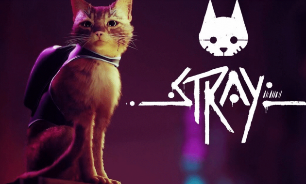 Stray game