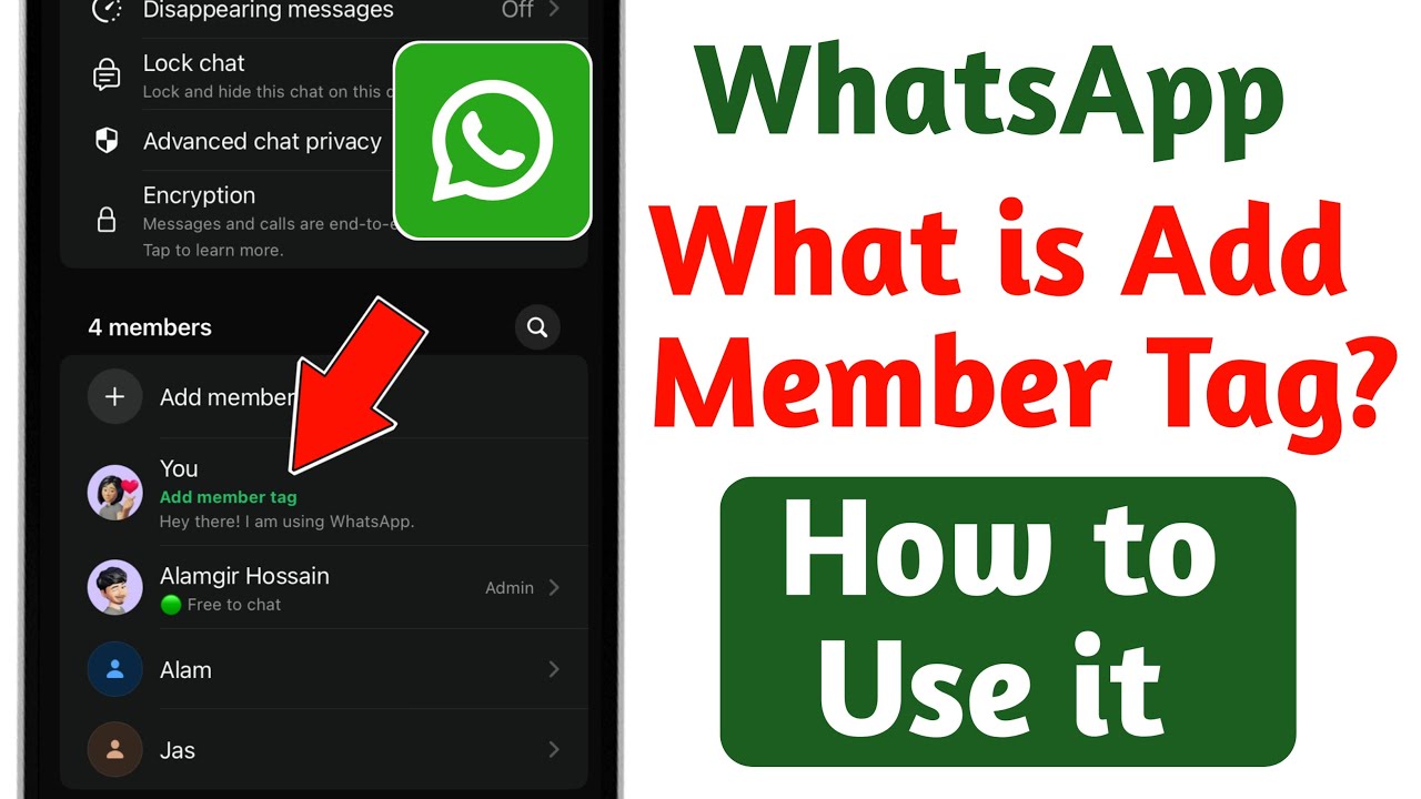How to Use WhatsApp Member Tag in Group Chats